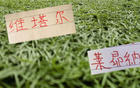 海港队首发仅派出两名外援迎战辽宁队四名外援，尽管海港实力稍逊，但仍有两位外援作为基本保障，比赛悬念重重引期待