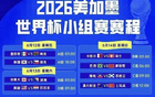 美国、加拿大与墨西哥联合申办的2026年世界杯48支球队最终名单曝光，豪门球队备战策略全解析，关键球员动向与战术短板深度剖析