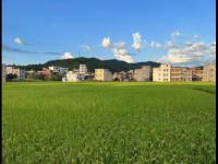 奥地利VS突尼斯直播_奥地利VS突尼斯免费直播在线直播