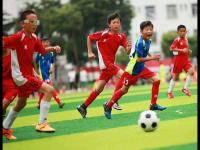 挪威VS瑞典直播_挪威VS瑞典免费高清在线直播_挪威VS瑞典免费直播视频直播
